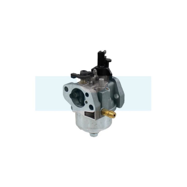 Carburateur pour moteur MTD (75110873)