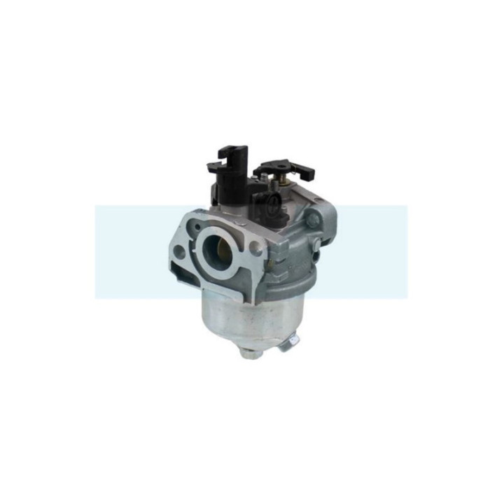 Carburateur pour moteur MTD (75110873)