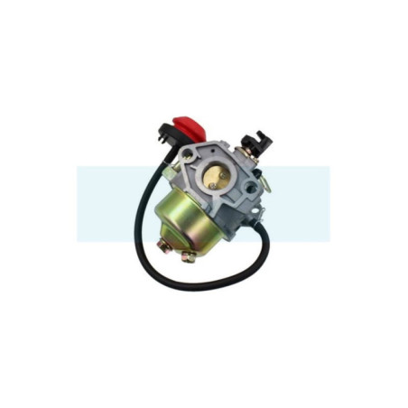 Carburateur pour moteur MTD (75111193)