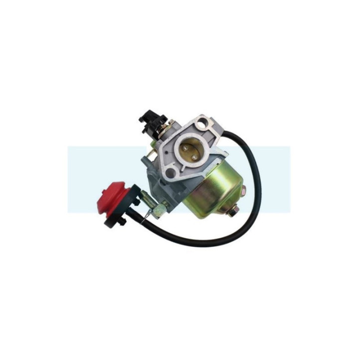 Carburateur pour moteur MTD (75111193)
