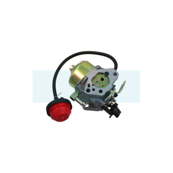 Carburateur pour moteur MTD (75111193)