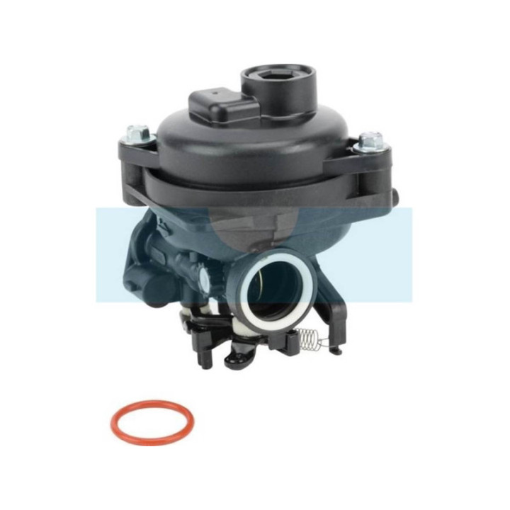 Carburateur pour moteur Briggs & Stratton (594926)