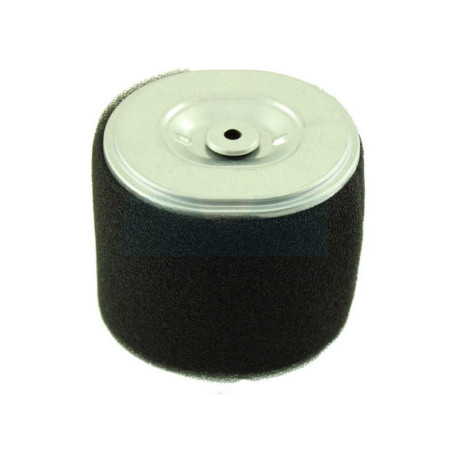 Filtre à air pour moteur Loncin (1801000350001)