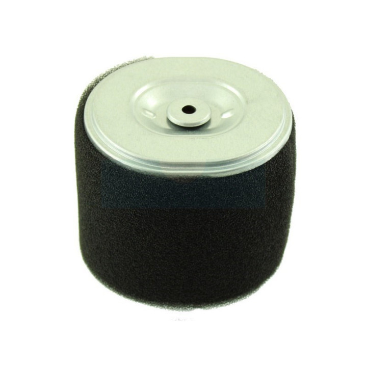 Filtre à air pour moteur Loncin (1801000350001)