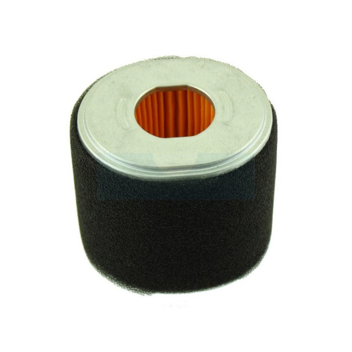 Filtre à air pour moteur Loncin (1801000350001)