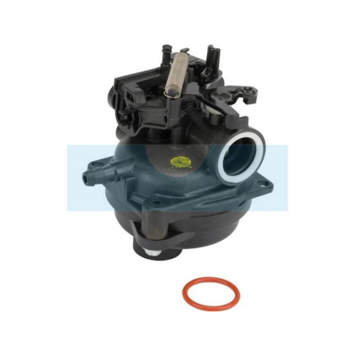 Carburateur pour moteur Briggs & Stratton (595489)