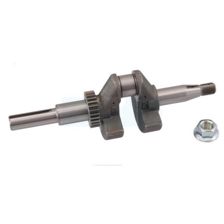 Vilebrequin pour moteur Briggs & Stratton (797070)