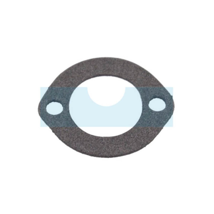 Joint de filtre à air pour moteur Briggs & Stratton (272948S)