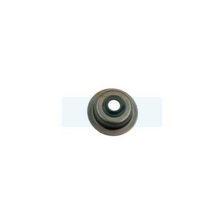 Joint de tige de soupape pour moteur Loncin (1404000110001)