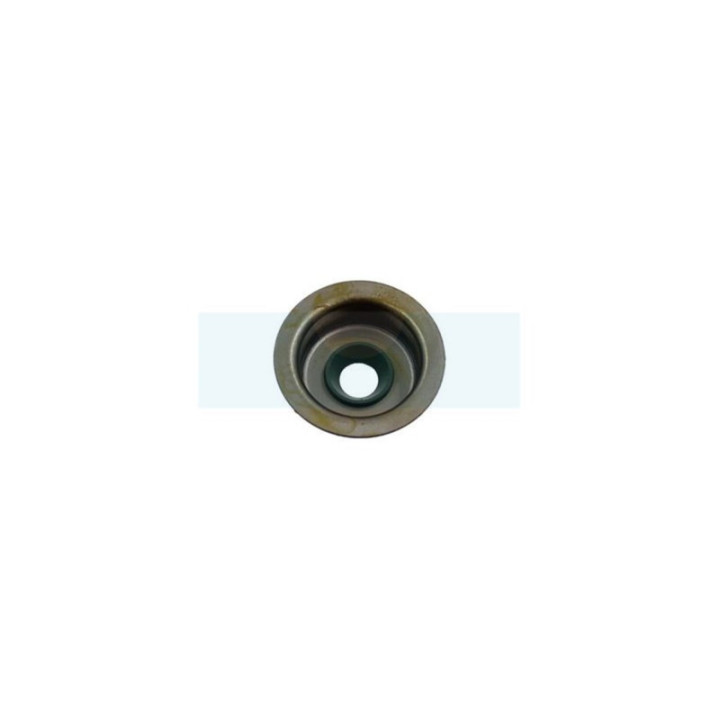 Joint de tige de soupape pour moteur Loncin (1404000110001)