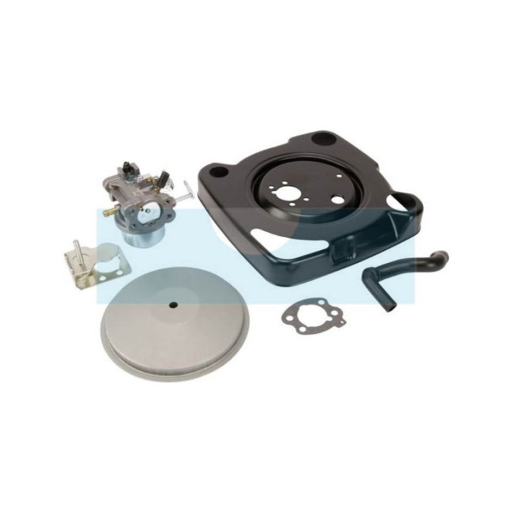 Carburateur pour moteur Briggs & Stratton (847393)