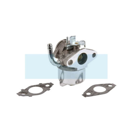 Carburateur pour moteur Briggs & Stratton (593357)