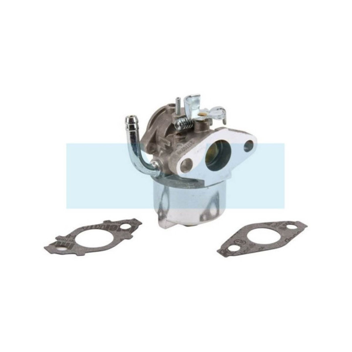 Carburateur pour moteur Briggs & Stratton (593357)