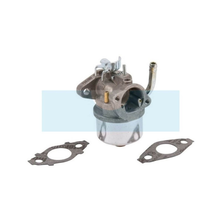 Carburateur pour moteur Briggs & Stratton (593357)