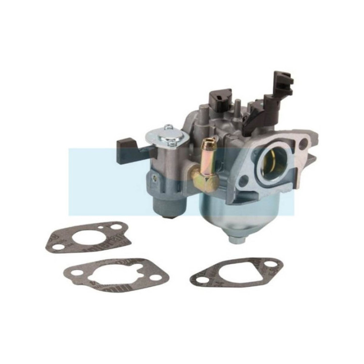 Carburateur pour moteur Briggs & Stratton (596079)
