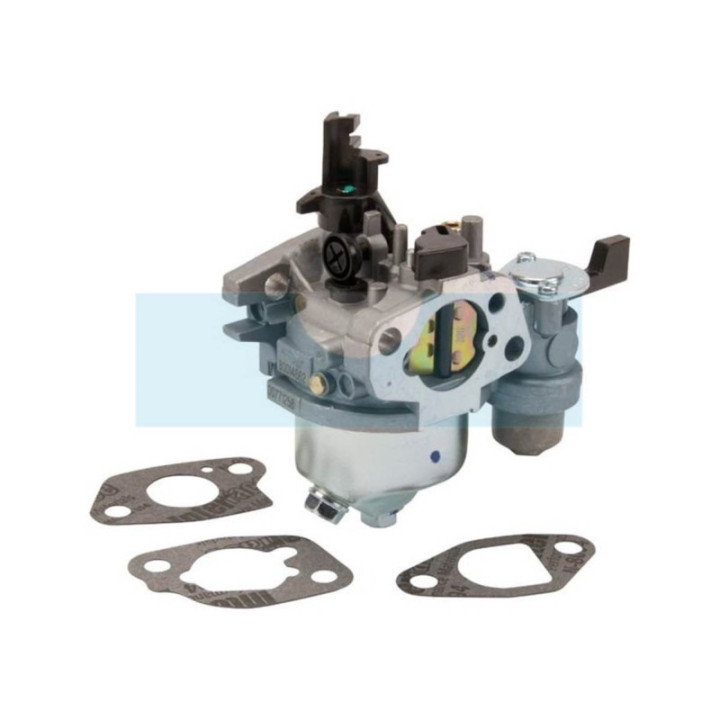 Carburateur pour moteur Briggs & Stratton (596079)