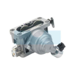 Carburateur pour moteur Briggs & Stratton (796997)