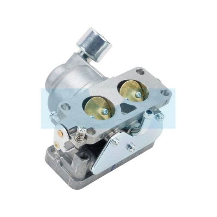 Carburateur pour moteur Briggs & Stratton (796997)