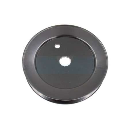Poulie de palier pour tracteur tondeuse MTD (7561187)