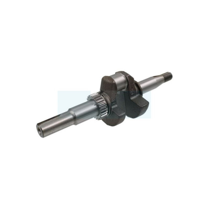 Vilebrequin pour moteur Briggs & Stratton (797019)