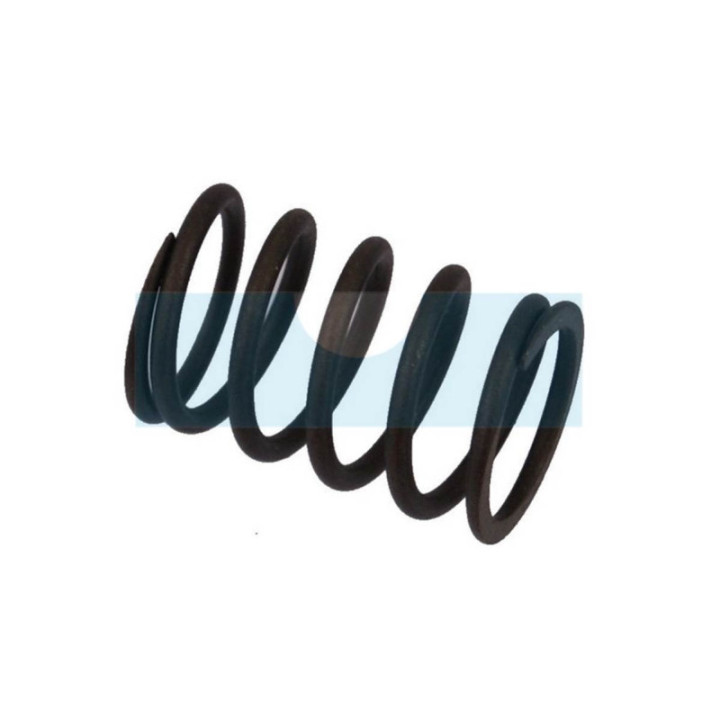 Ressort de soupape pour moteur Loncin (1403400250001)