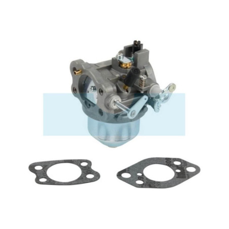 Carburateur pour moteur Briggs & Stratton (847049)