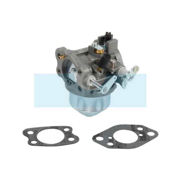 Carburateur pour moteur Briggs & Stratton (847049)