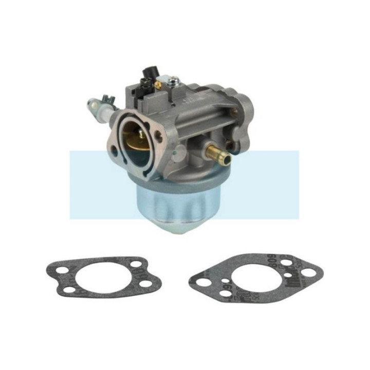 Carburateur pour moteur Briggs & Stratton (847049)