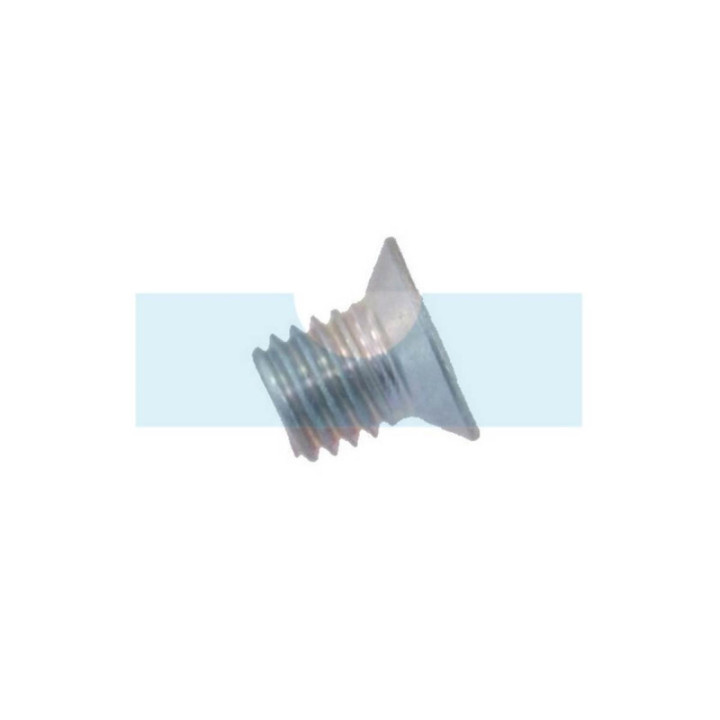 Vis de couteau pour broyeur Alko (503616)