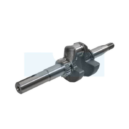 Vilebrequin pour moteur Briggs & Stratton (797017)