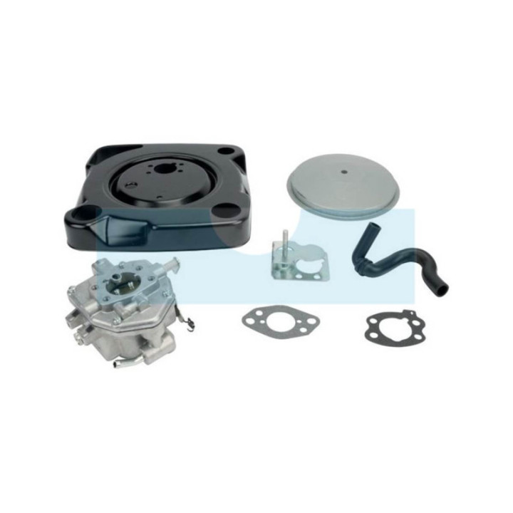 Carburateur pour moteur Briggs & Stratton (846082)