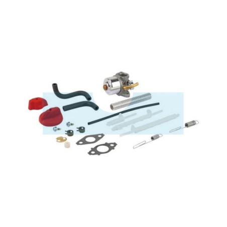 Carburateur pour moteur Briggs & Stratton (798917)