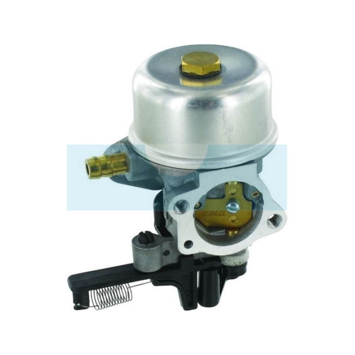 Carburateur pour moteur Briggs & Stratton (799226)