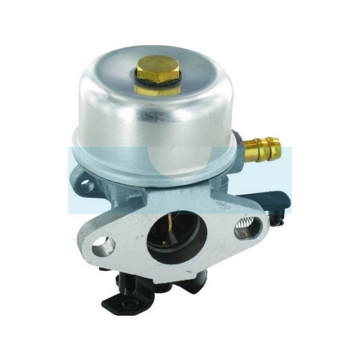 Carburateur pour moteur Briggs & Stratton (799226)