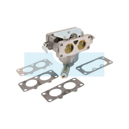 Carburateur pour moteur Briggs & Stratton (796258)