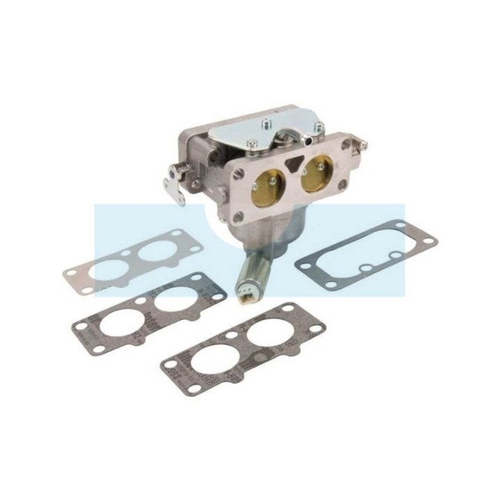 Carburateur pour moteur Briggs & Stratton (796258)