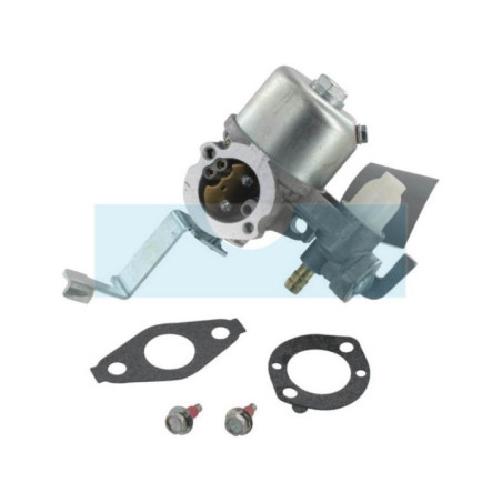 Carburateur pour moteur Briggs & Stratton (796447)