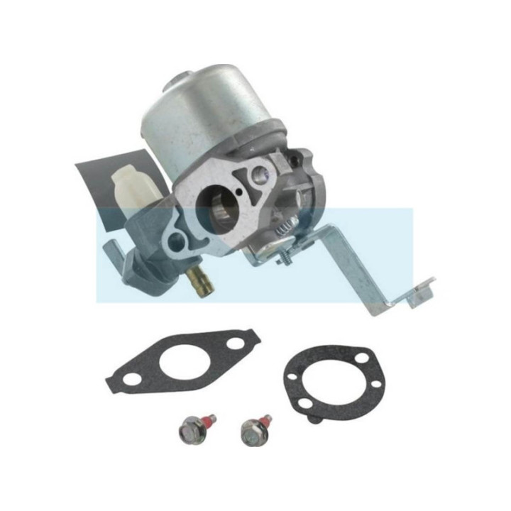 Carburateur pour moteur Briggs & Stratton (796447)