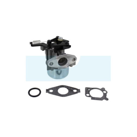 Carburateur pour moteur Briggs & Stratton (796608)