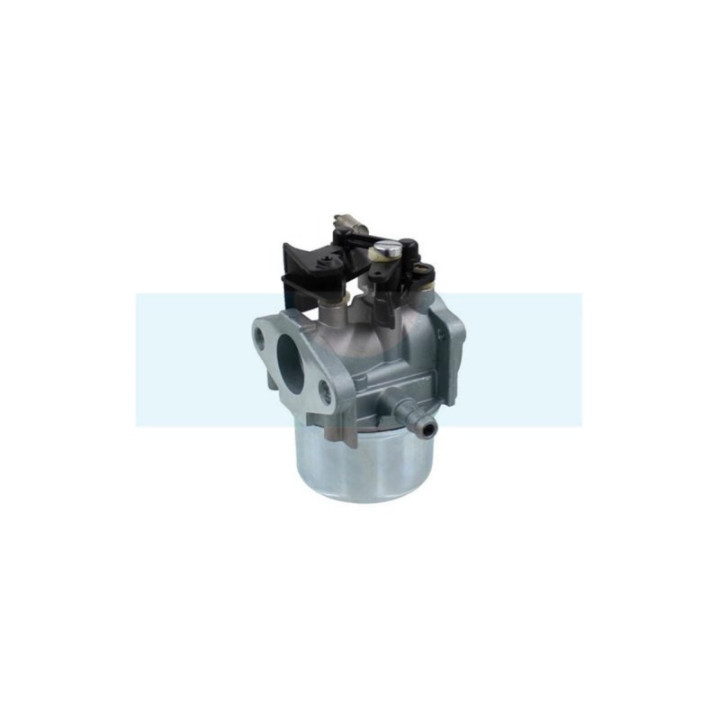 Carburateur pour moteur Briggs & Stratton (796608)
