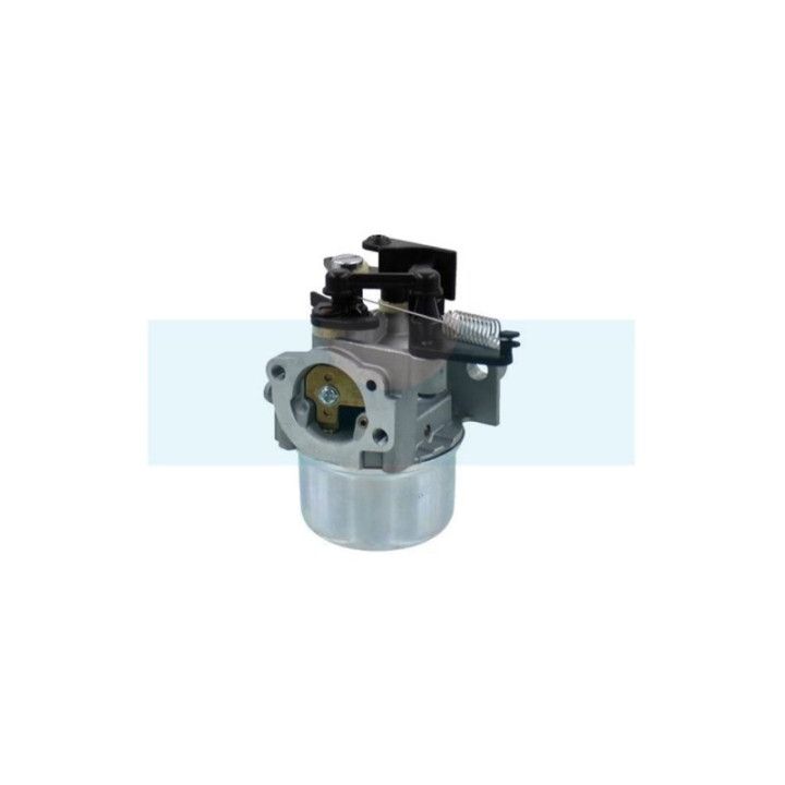Carburateur pour moteur Briggs & Stratton (796608)