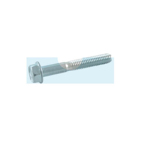 Vis pour moteur Briggs & Stratton (094547)