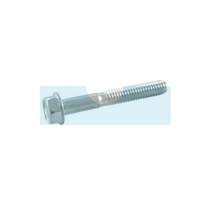 Vis pour moteur Briggs & Stratton (094547)
