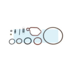 Kit réparation pour moteur carburateur Briggs & Stratton (590589)