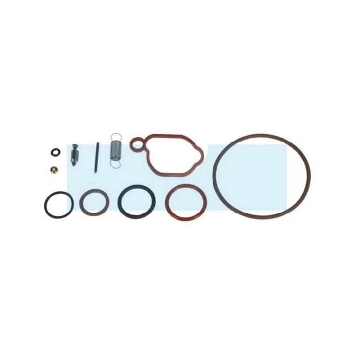 Kit réparation pour moteur carburateur Briggs & Stratton (590589)