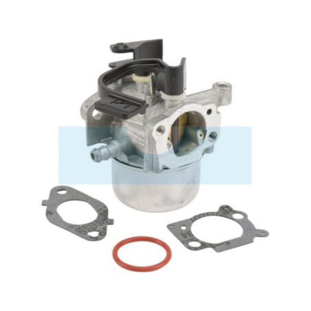 Carburateur pour moteur Briggs & Stratton (797736)