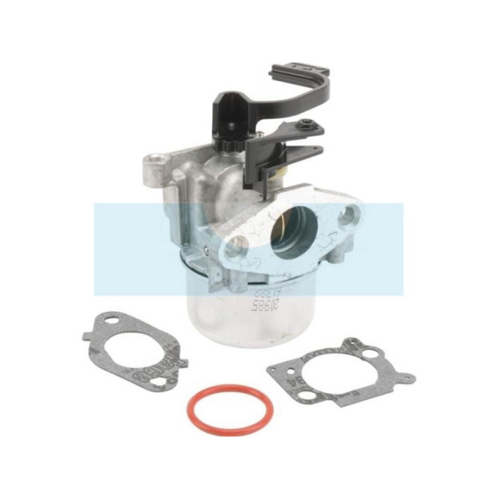 Carburateur pour moteur Briggs & Stratton (797736)