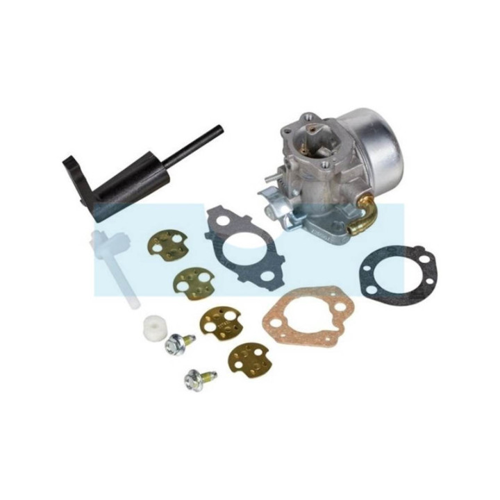 Carburateur pour moteur Briggs & Stratton (798654)