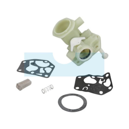 Carburateur pour moteur Briggs & Stratton (795476)