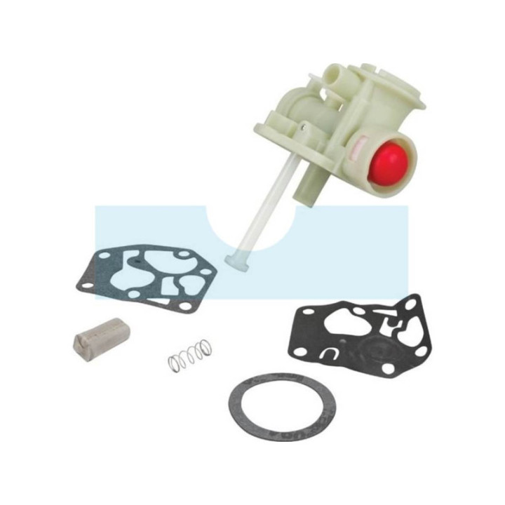 Carburateur pour moteur Briggs & Stratton (795476)